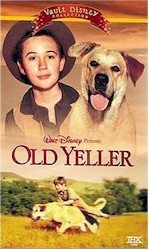'Old Yeller'